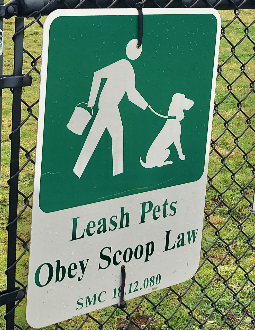 We love dogs, but we have leash laws for good reasons